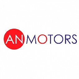 Электроприводы для гаражных секционных ворот Эн-Моторс (AN-Motors)